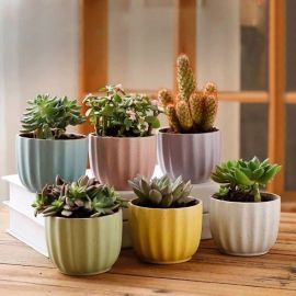 Plant Pot