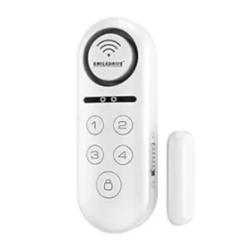 Window alarm